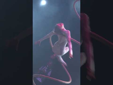 Freedom Circus